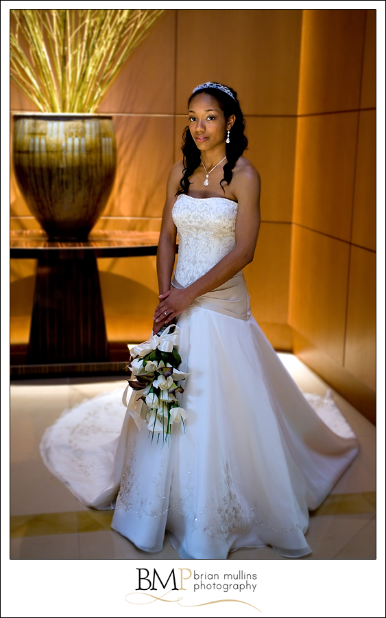 Bridal portrait inside the Umstead Hotel