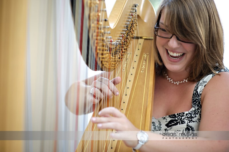 Harpists & Floutist
